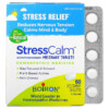 Thuốc bổ Boiron Stress Calm Meltaway Tablets Stress Relief Unflavored 60 Meltaway Tablets 306969333044
