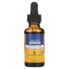 Herb Pharm Ginkgo Biloba 1 fl oz (30 ml) 2 Thuốc bổ Herb Pharm Ginkgo Biloba 1 fl oz (30 ml) 090700000615