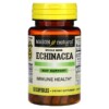 Mason Natural Whole Herb Echinacea 60 Capsules 3 Thuốc bổ Mason Natural Whole Herb Echinacea 60 Capsules 311845177452