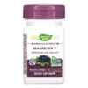 Thuốc bổ Nature's Way Bilberry 60 Vegan Capsules 033674605004