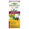 Thuốc bổ Nature's Way Sambucus for Kids HoneyBerry NightTime Cough Syrup 4 fl oz (120 ml) 033674133163