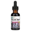 NaturesPlus Herbal Actives Grape Seed Alcohol Free 25 mg 1 fl oz (30 ml) 3 Thuốc bổ NaturesPlus Herbal Actives Grape Seed Alcohol Free 25 mg 1 fl oz (30 ml) 097467078321