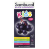 Thuốc bổ Sambucol Black Elderberry Syrup For Kids Berry Flavor 7.8 fl oz (230 ml) 896116001211