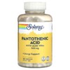 Thuốc bổ Solaray Pantothenic Acid with Aloe Vera 500 mg 250 VegCaps 076280043815