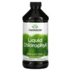 Thuốc bổ Swanson Liquid Chlorophyll 100 mg 16 fl oz (473 ml) 087614060316